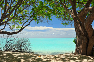 Fototapeta na wymiar Atollo Maldive