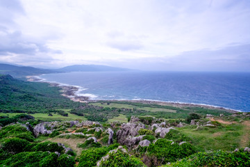 Fototapeta premium Rough Coast of Kaiting National Park of Taiwan