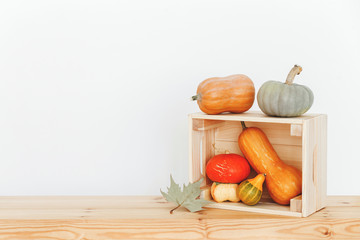Different multicolored decorative pumpkins and wooden box on a wooden shelf on white background.