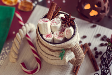 Warm winter mug with marshmallow, cinnamon and lollipop