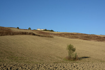 Obraz premium TERRENO PER COLTIVAZIONI, CAMPANIA, ITALIA.