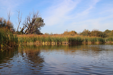 Calming landscape with wild lake and blue sky. reflections in the water. autumn