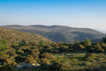 landscape of a valley with green trees and blue sky in spring in Spain