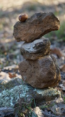 Fototapeta na wymiar stones in garden