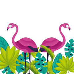 exotic flamingos bird leaves tropical