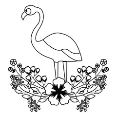 exotic flamingo flower leaves tropical