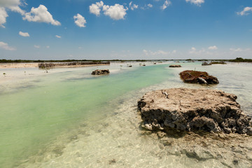 Entrance of the mangrove lagoon in Cozumel Mexico