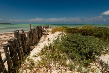 Fence made of driftwood at the Caribbean sea in Cozumel Mexico with shallow water and clouds