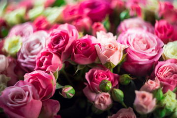 Closeup image of beautiful bouquet with amazing pink and white roses. Valentines card, womens day, mother's day.  Floral greeting card