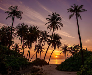Obraz premium Sunset