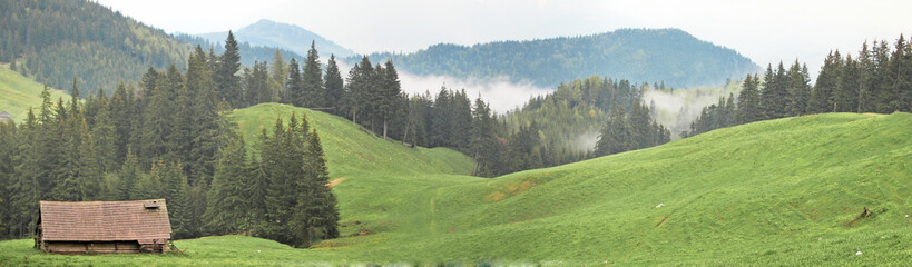Fototapeta na wymiar Curmatura valley in Piatra Craiului Mountains