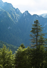 Bucegi mountains seen from Gura Diham valley