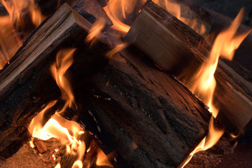 Fire flames with wooden pieces