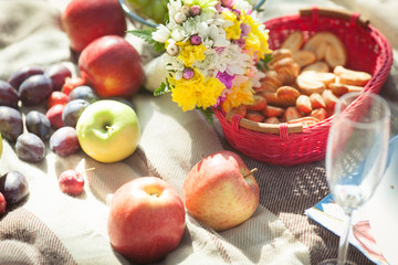 Fruits and cookies lie on the rug during a picnic on a sunny day