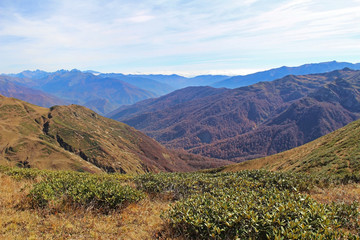 Panorama with yellow autumn hills and mountains. Abkhazia.