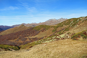 Obraz premium Panorama with yellow autumn hills and mountains. Abkhazia.