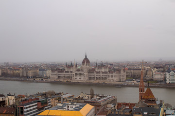 Fototapeta premium WD