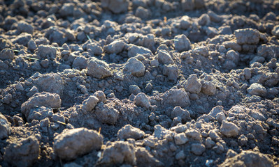 Plowed soil with autumn net on sunlight, closeup