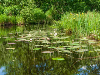 Giethoorn