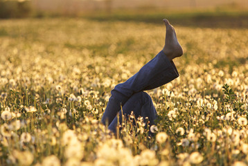 Barefoot in dandelions, summer daydream