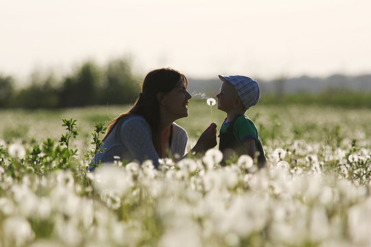 Young Mother And Little Kid Having Fun In The Dandelions