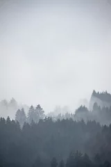 Foto auf Acrylglas Wald im Nebel Coniferous forest densely covered with fog, vertical view