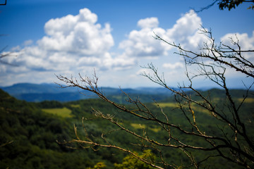 Tree branches against the blue sky and mountain valley. Background for photo Wallpapers