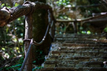 Tourists walk through the forest along the path. The rocky road with chiaroscuro goes into the distance, the branches of the trees on the sides close the road. Stone steps with railing