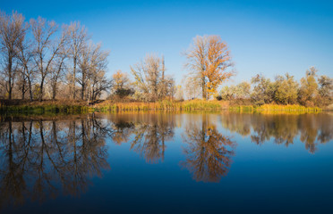 Fototapeta na wymiar Beautiful autumn landscape. Trees reflected in the water of the lake