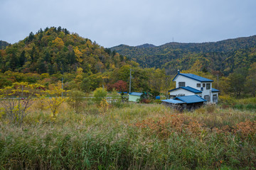 Autumn leaves view in Hokkaido