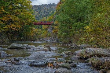 Autumn leaves view in Jozankei onsen village