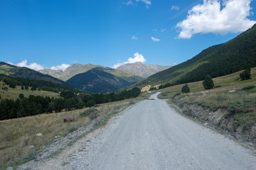 Fototapeta na wymiar Road to Montgarri in the mountains of Aran Valley in summer