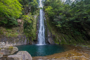 Fototapeta premium Waterfall deep inside forest