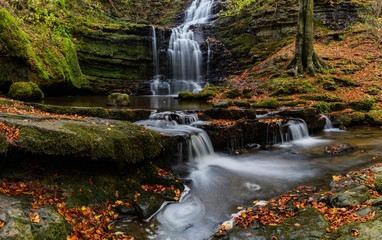 Scalber Force in Autumn
