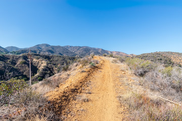 Dirt road into dry forest on fall morning