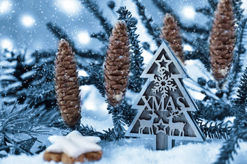 Xmas on the tree