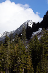 Mount Rainier National Park, USA.