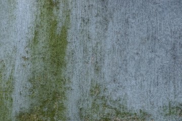 gray green stone texture from dirty concrete wall