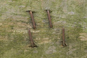 gray wooden board with hammered bent rusty nails