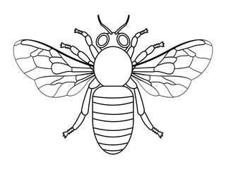 Bee contour illustration