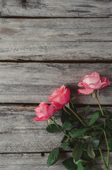 Fototapeta na wymiar Pink roses on a rustic wooden table