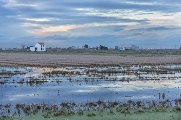 Naklejka premium Albufera de Valencia al atardecer