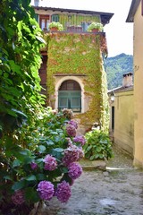 via di paese di montagna con facciata con finestra di una casa e fiori di hydrangea