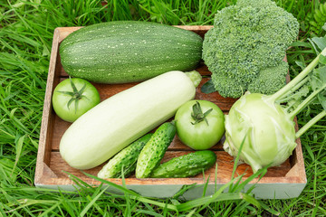 Fresh vegetables in the box on the green grass