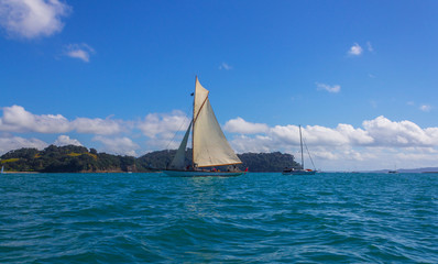 Sail Boats at Sullivans Bay Mahurangi Beach Auckland, New Zealand