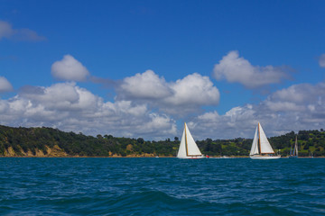Sail Boats at Sullivans Bay Mahurangi Beach Auckland, New Zealand