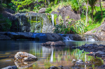 Naklejka na ściany i meble Peaceful Place and Calm Water at Waimanu Waterfalls Bethells Beach Auckland, New Zealand