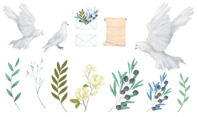 Pigeon and olive clip art digital drawing watercolor bird fly peace dove for wedding celebration illustration similar on white background
