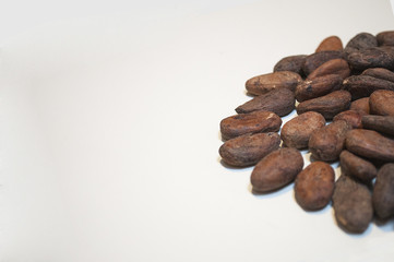 Closeup of the cocoa bean.