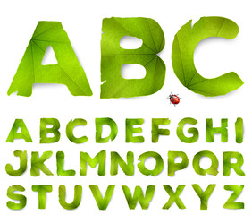 Vector alphabet letters made from green leaves, isolated on white © rustamank